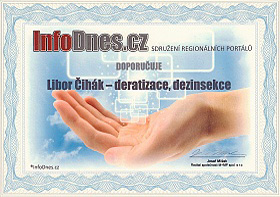 Doporučení InfoDnes.cz