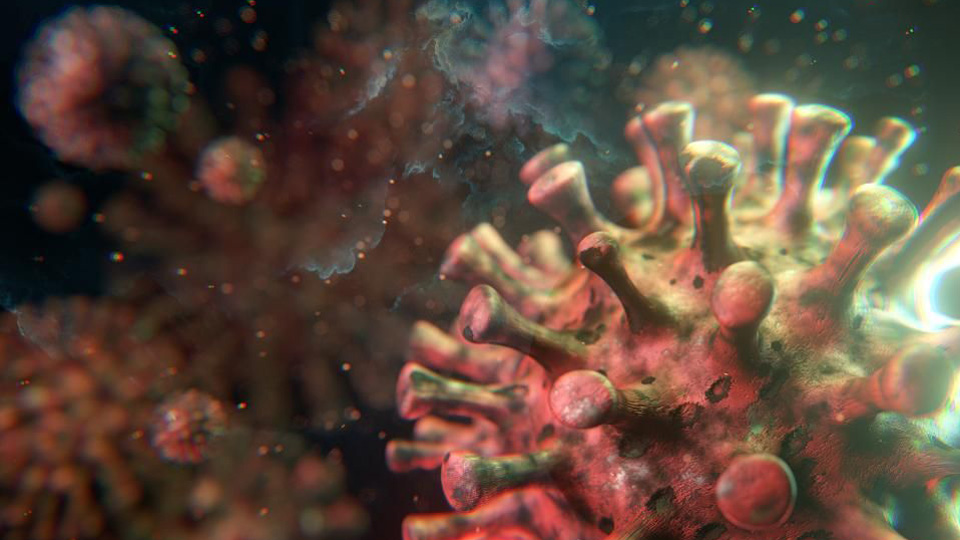 Koronavirus